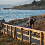 Cambria_0213 (November 05, 2011)